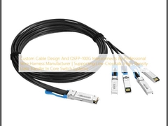 การออกแบบสายเคเบิลแบบกำหนดเองและการเชื่อมต่อ QSFP-100G โดยผู้ผลิตชุดสายไฟระดับมืออาชีพ | รองรับการถ่ายโอนข้อมูลความหนาแน่นสูงและการรบกวนต่ำในระบบสวิตช์หลัก